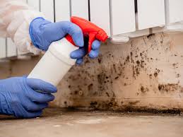 Best Mold Damage Restoration  in Edgemoor, DE